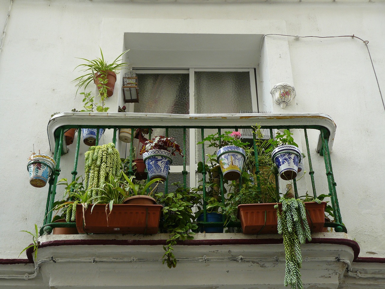 Wie überleben meine Balkonpflanzen den Urlaub?